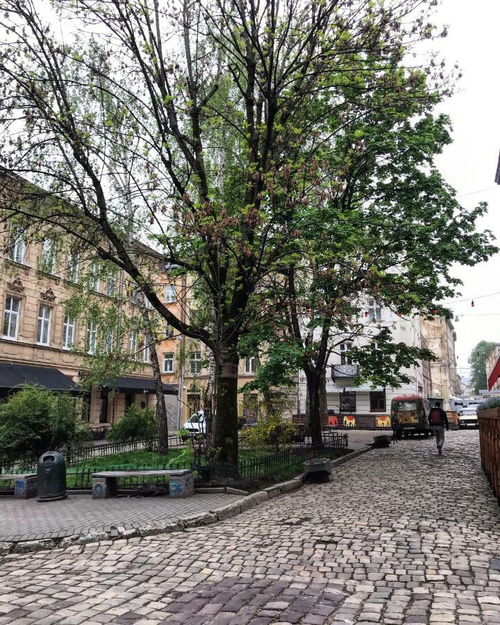 Vip Apartment Ploscha Rynok Lviv Buitenkant foto
